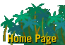 Rainforest House Main Page